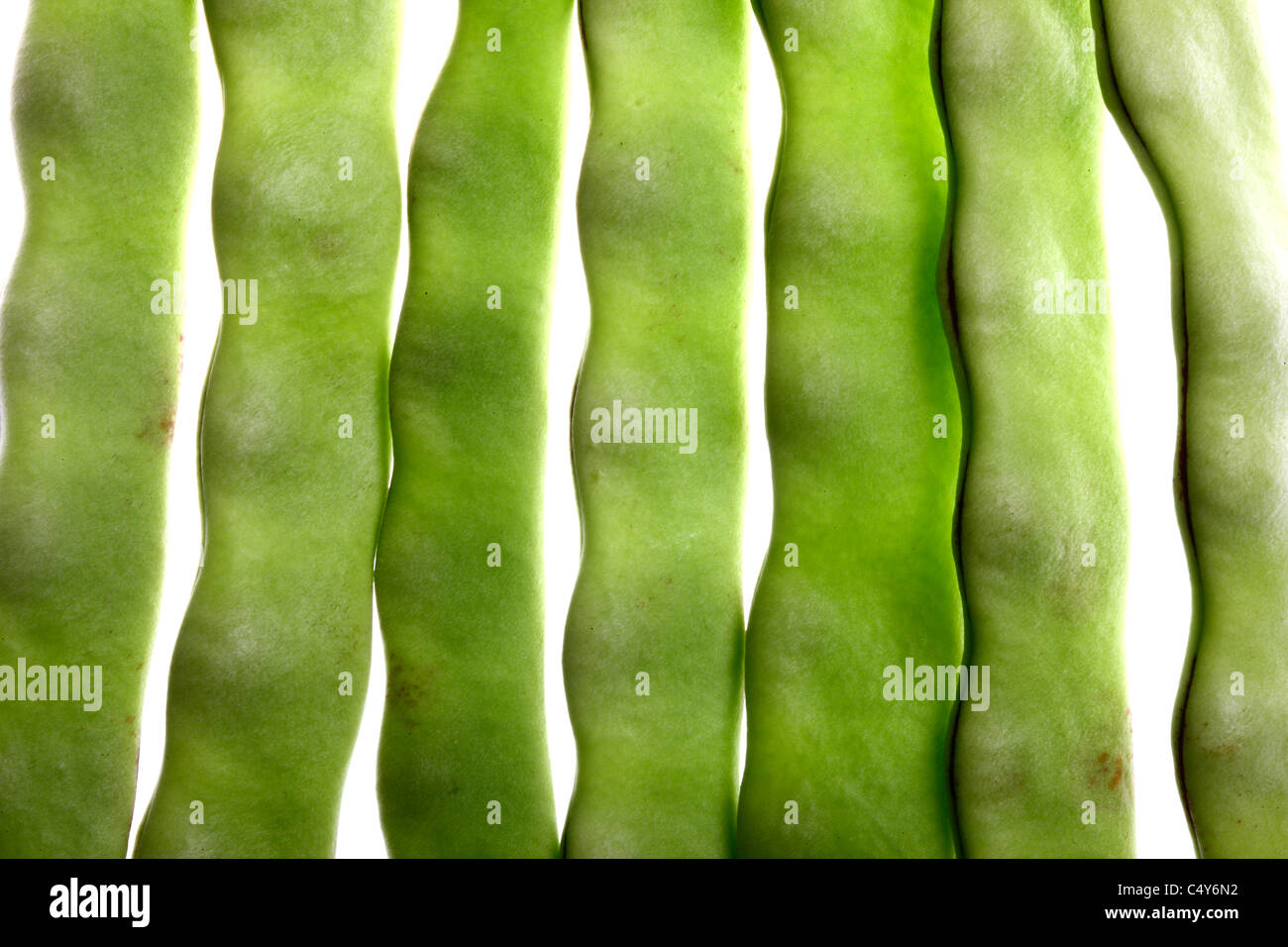 Légumes, haricots verts, haricots. Banque D'Images