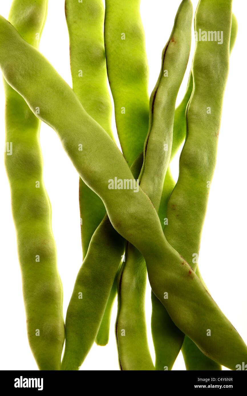 Légumes, haricots verts, haricots. Banque D'Images