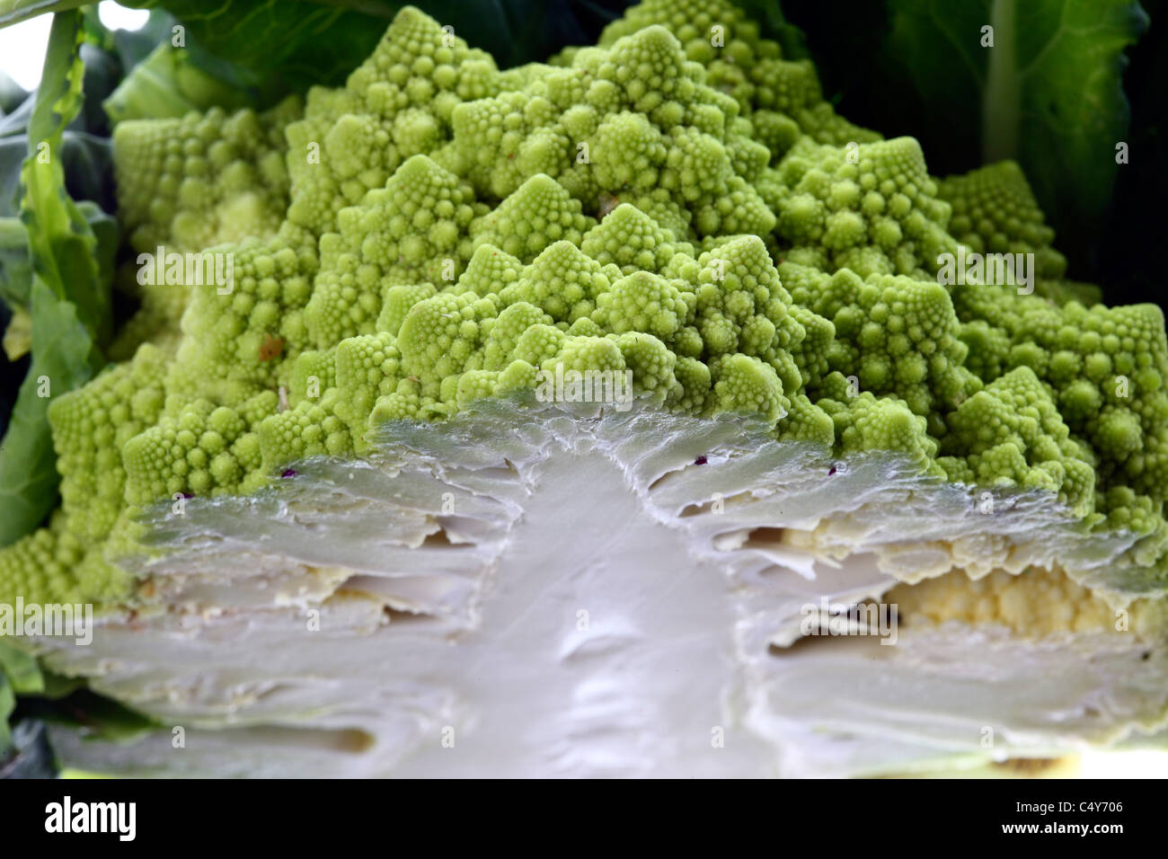 Le Brocoli Romanesco Legumes Vert Type De Chou Fleur Photo Stock Alamy