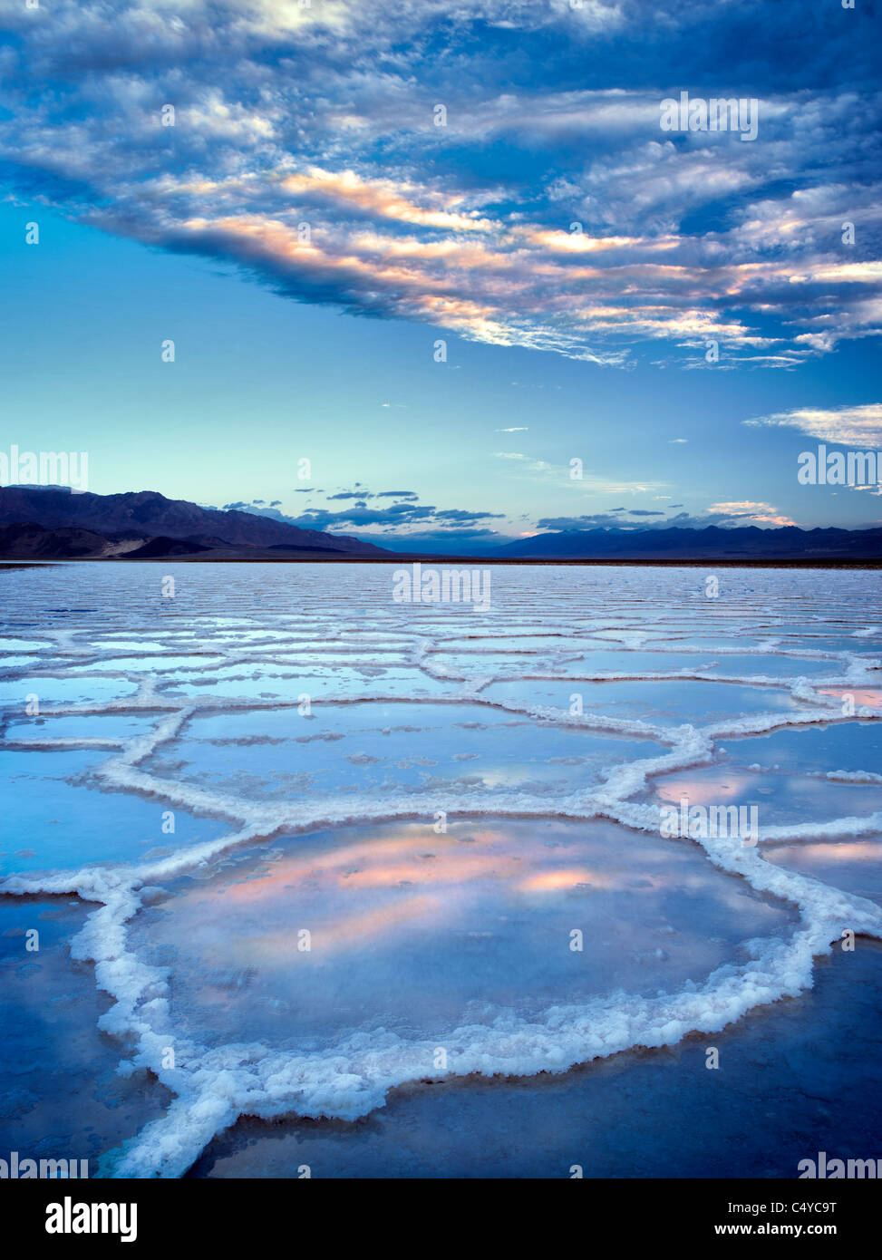 Poygons sel avec de l'eau en eux après la pluie tempête. Death Valley National Park, en Californie. Banque D'Images