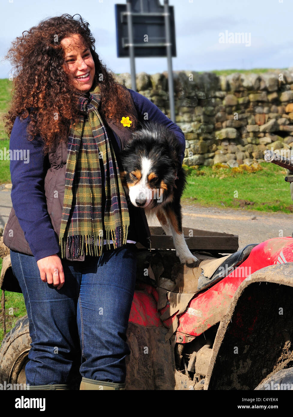 Fille avec de berger de prendre une pause de l'arrondissement de moutons- jusqu'à poser pour la photo de Corsenside ferme, Northumberland, Angleterre Banque D'Images