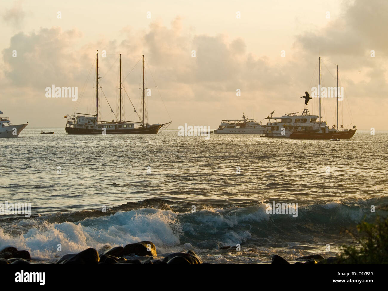Les excursions en bateau ancré au large de l'île de Espanola dans les îles Galapagos Équateur Banque D'Images