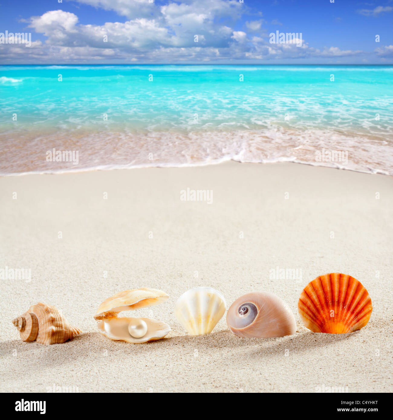 Vacances d'été plage shell clam fond pearl escargot symbole tropical Banque D'Images