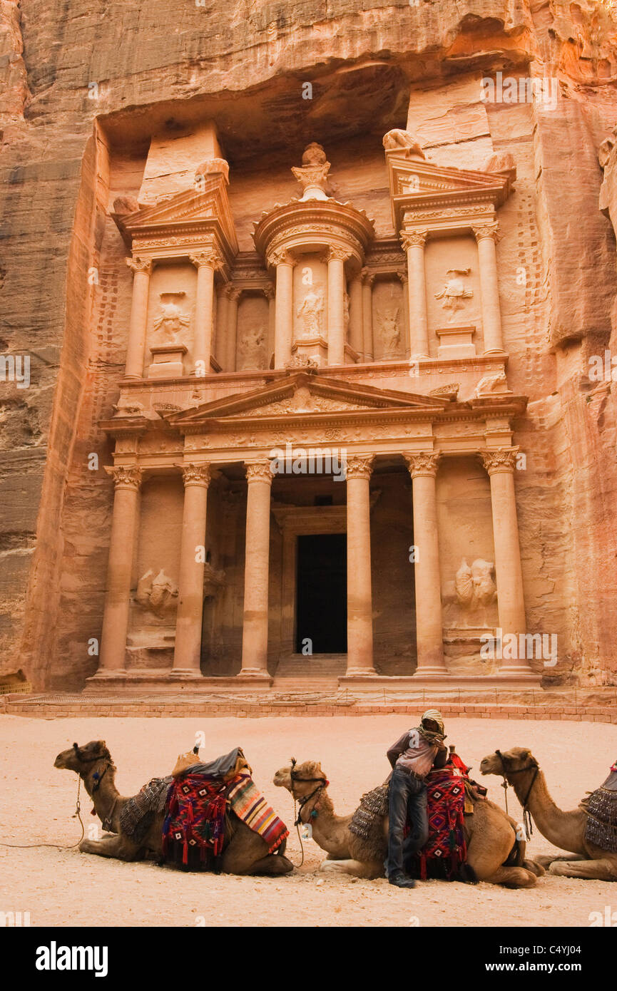 Petra, Jordanie, Ville En Pierre nabatéenne WORLD HERITAGE SITE : chameaux reste en face de la 'trésor' Banque D'Images