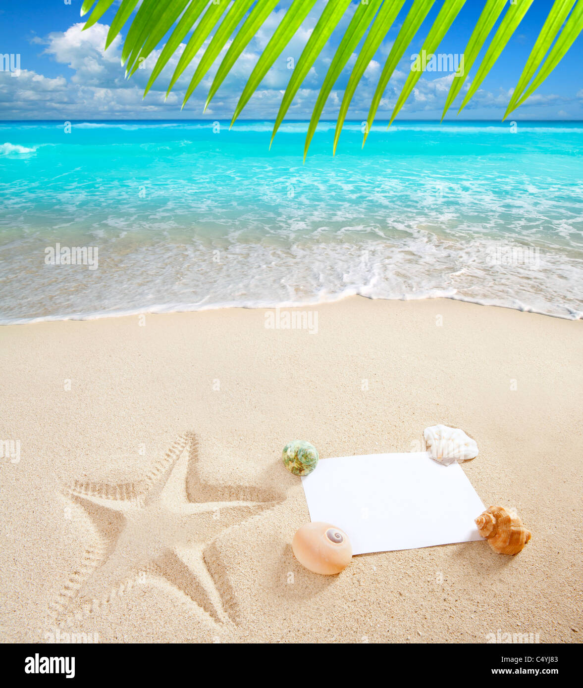 Le papier blanc sur la plage de sable blanc avec des coquillages et des  étoiles de mer imprimer comme un concept de vacances d'été Photo Stock -  Alamy