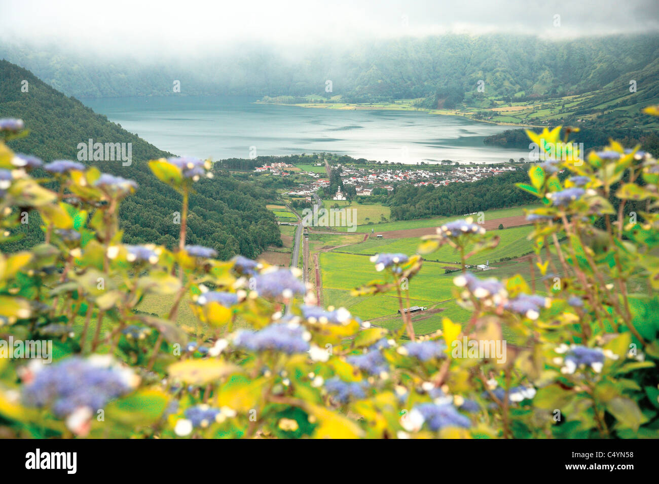 Avis de Sete Cidades crater avec hortensias au premier plan dans l'image. L'île de São Miguel, Açores, Portugal. Banque D'Images