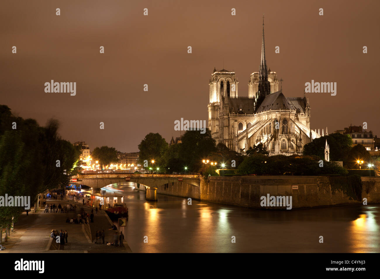 Paris - Cathédrale Notre-Dame à nuit Banque D'Images