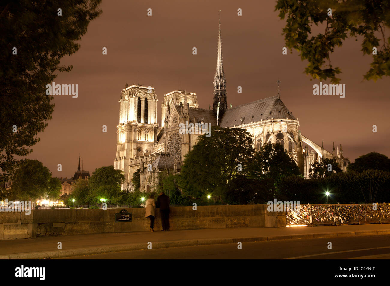 Paris - Cathédrale Notre-Dame à nuit Banque D'Images