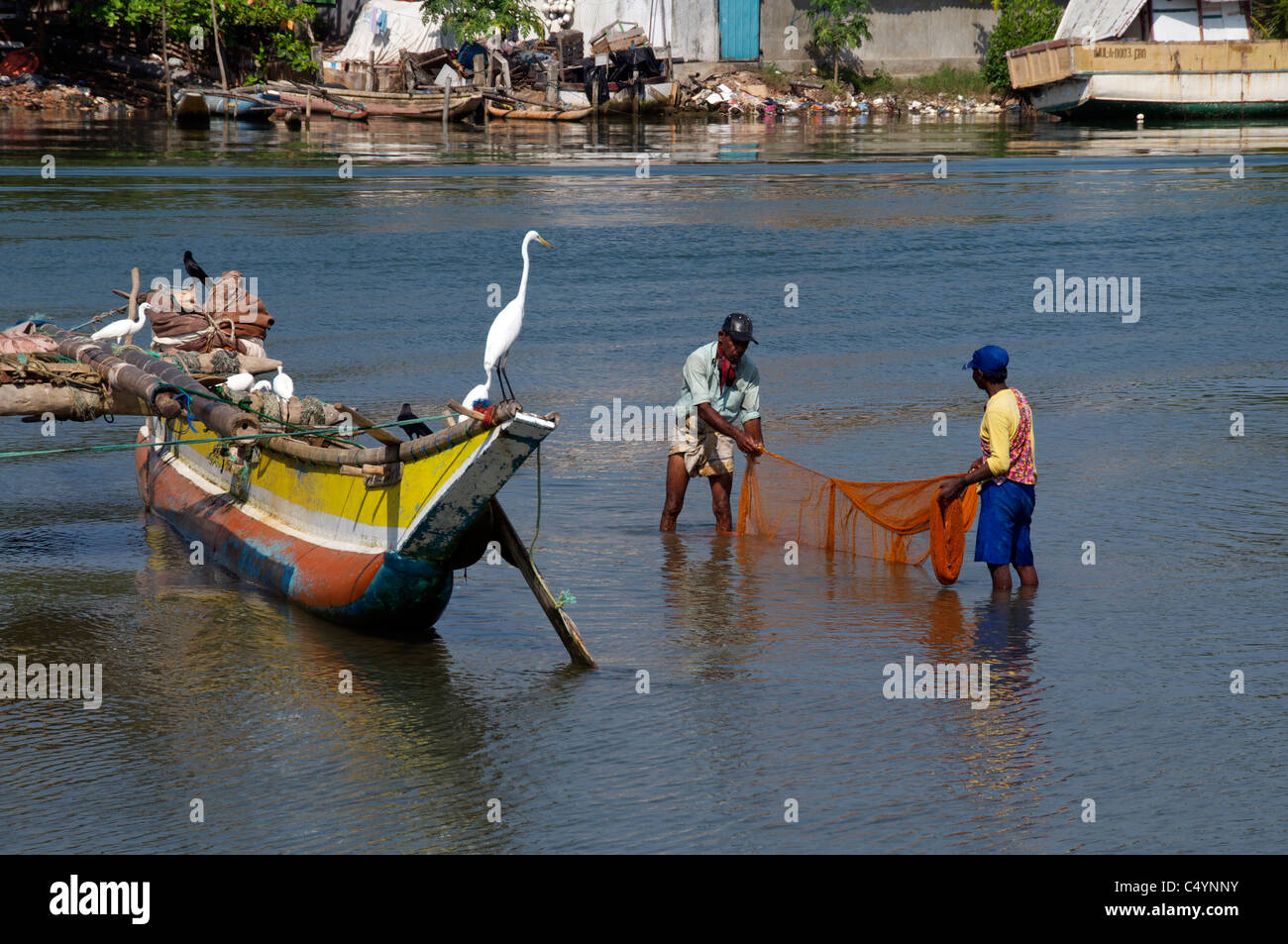 Le tri des filets de pêche en vertu de l'œil attentif d'une aigrette blanche lagon de Negombo Sri Lanka Banque D'Images