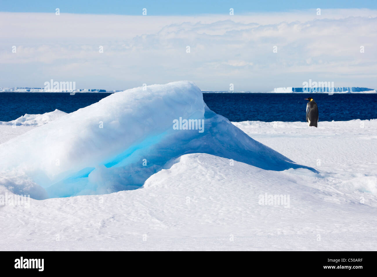 Manchot Empereur sur la glace, Snow Hill Island, l'Antarctique Banque D'Images