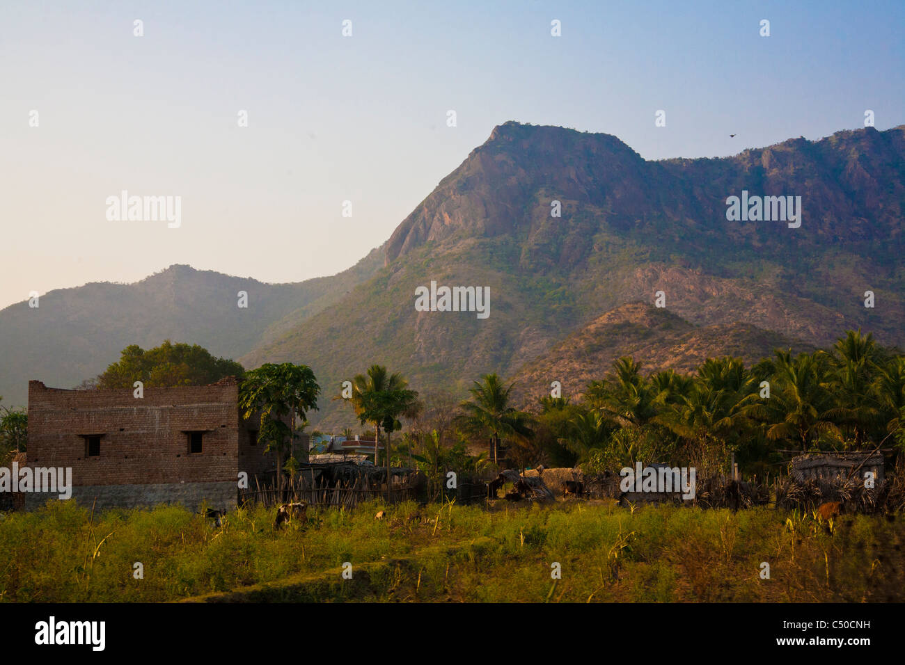 Paysage du Tamil Nadu, près de la frontière de l'État du Kerala, en Inde. Banque D'Images