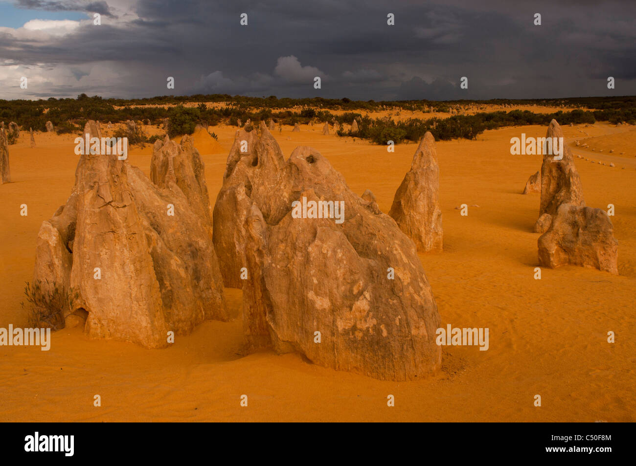 Rock formations dans le Désert des Pinnacles, Australie occidentale Banque D'Images