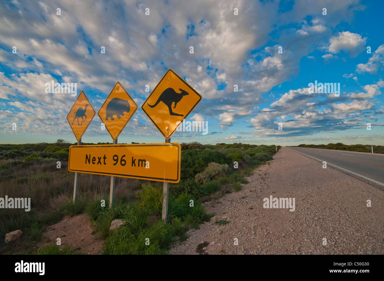 La signalisation routière sur la plaine du Nullarbor indiquant la présence de chameaux, wombat, et des kangourous sur la route Banque D'Images