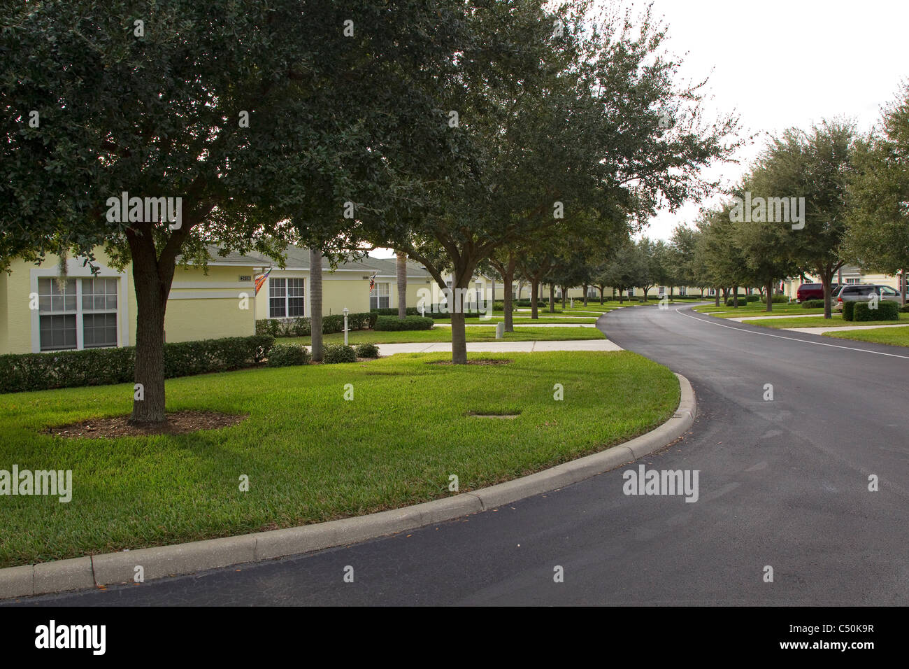 Lotissement de maisons identiques rue résidentielle doublure jaune Banque D'Images