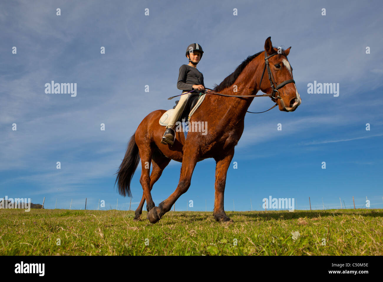Jeune fille à cheval à Knysna, Garden Route, South Africa Banque D'Images