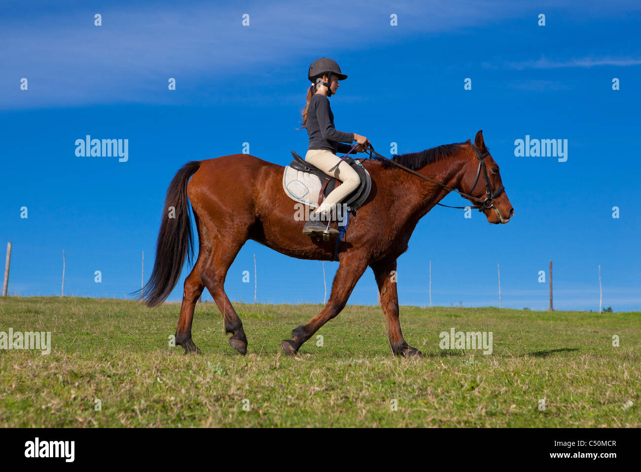 Jeune fille à cheval à Knysna, Garden Route, South Africa Banque D'Images
