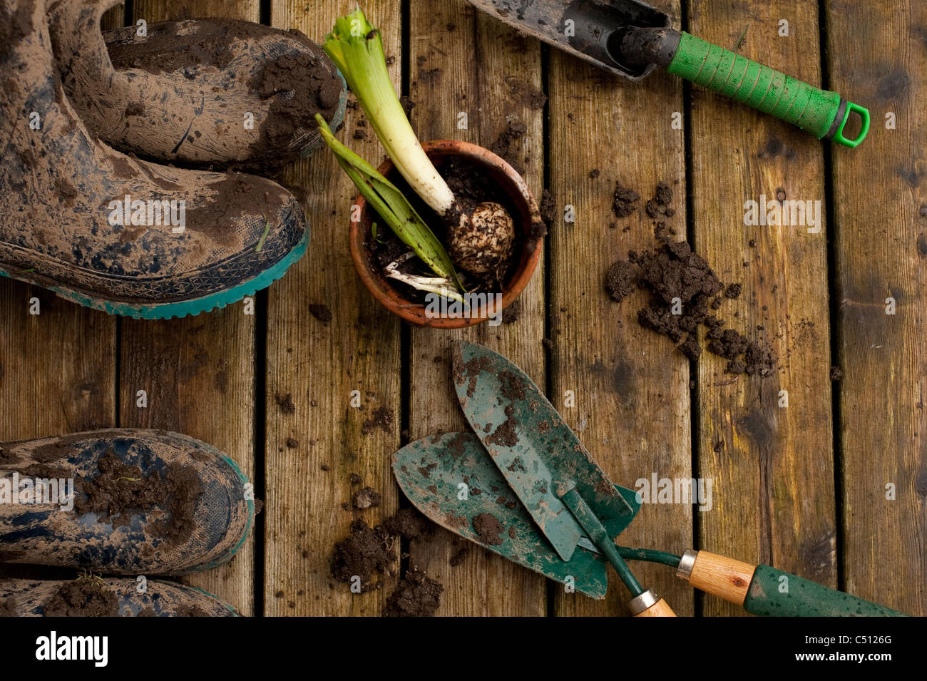 Des bottes et des outils de jardinage sur terrasse arrière avec les pots de fleurs à bulbe de jacinthe en pot après avoir travaillé dans le jardin. Banque D'Images