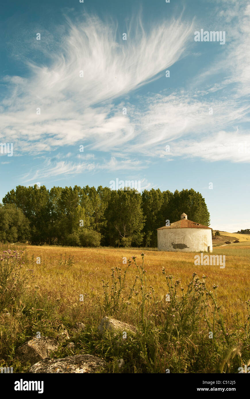 Paysage vertical avec pigeonnier Dove Oiseaux de bébé Banque D'Images