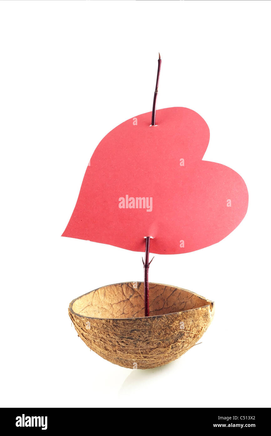 À partir de l'image série créative : voile de l'amour Banque D'Images