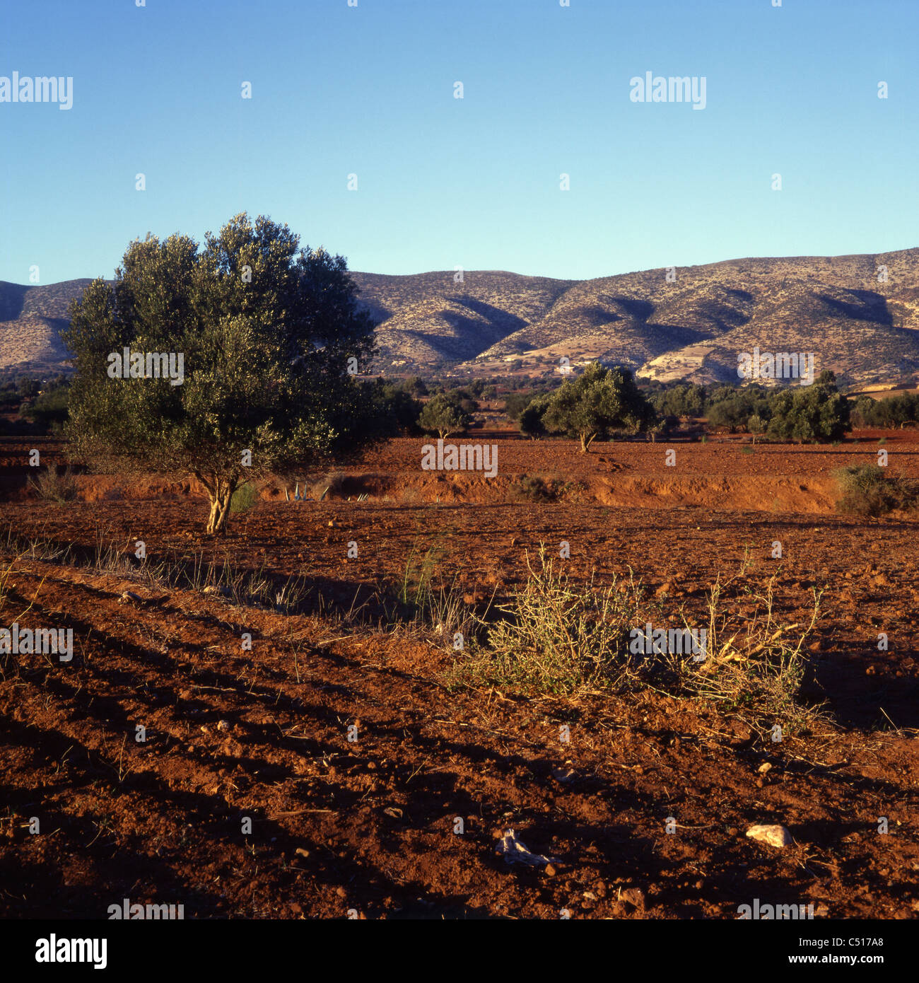 Paysage rural, Maroc Banque D'Images