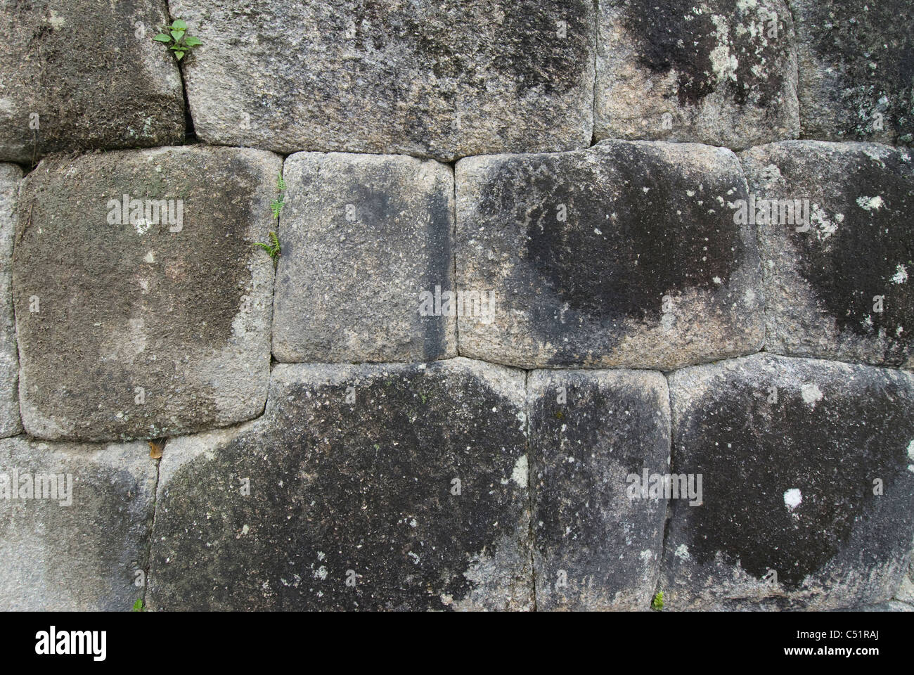 Close-up de maçonnerie Inca Winay Wayna au site près de la piste de l'Inca dans les Andes péruviennes Banque D'Images