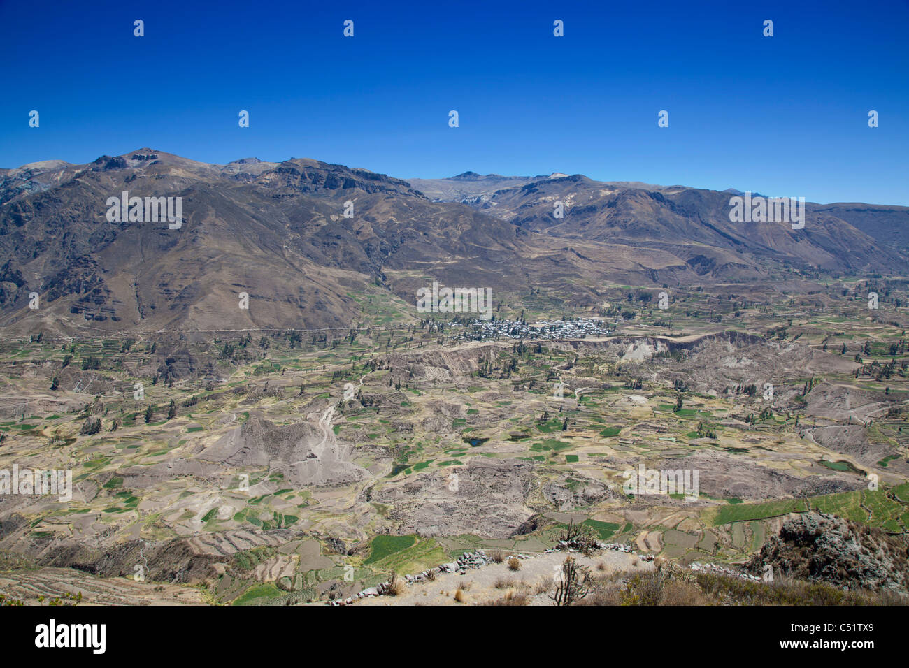Vue de la vallée ville de Yanque, Canyon de Colca, Pérou Banque D'Images
