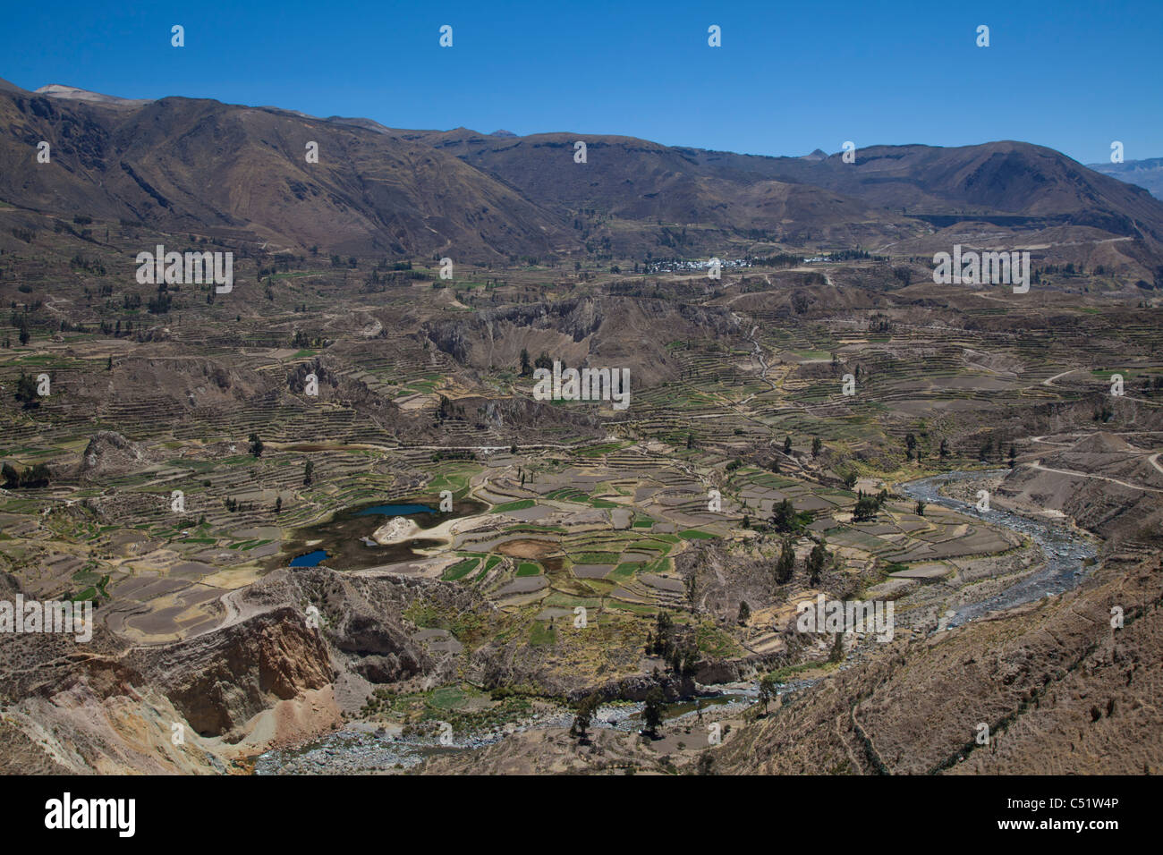 Terrasses Collagua, Canyon de Colca, Pérou Banque D'Images