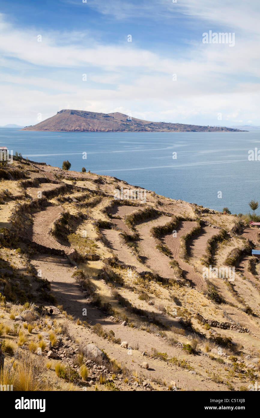 Terrasses pour l'agriculture sur l'Isla Taquile, Lac Titicaca, Pérou Banque D'Images