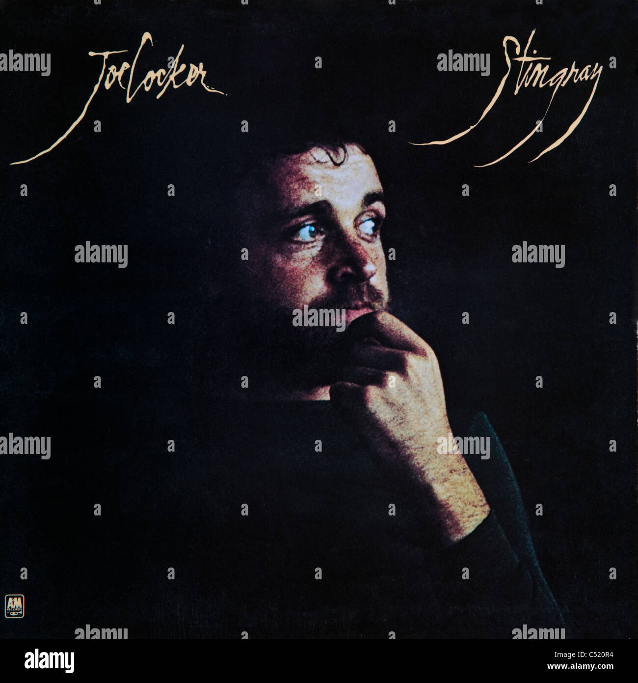 Couverture de l'album vinyle Stingray par Joe Cocker 1976 parution sur A&M Records Banque D'Images
