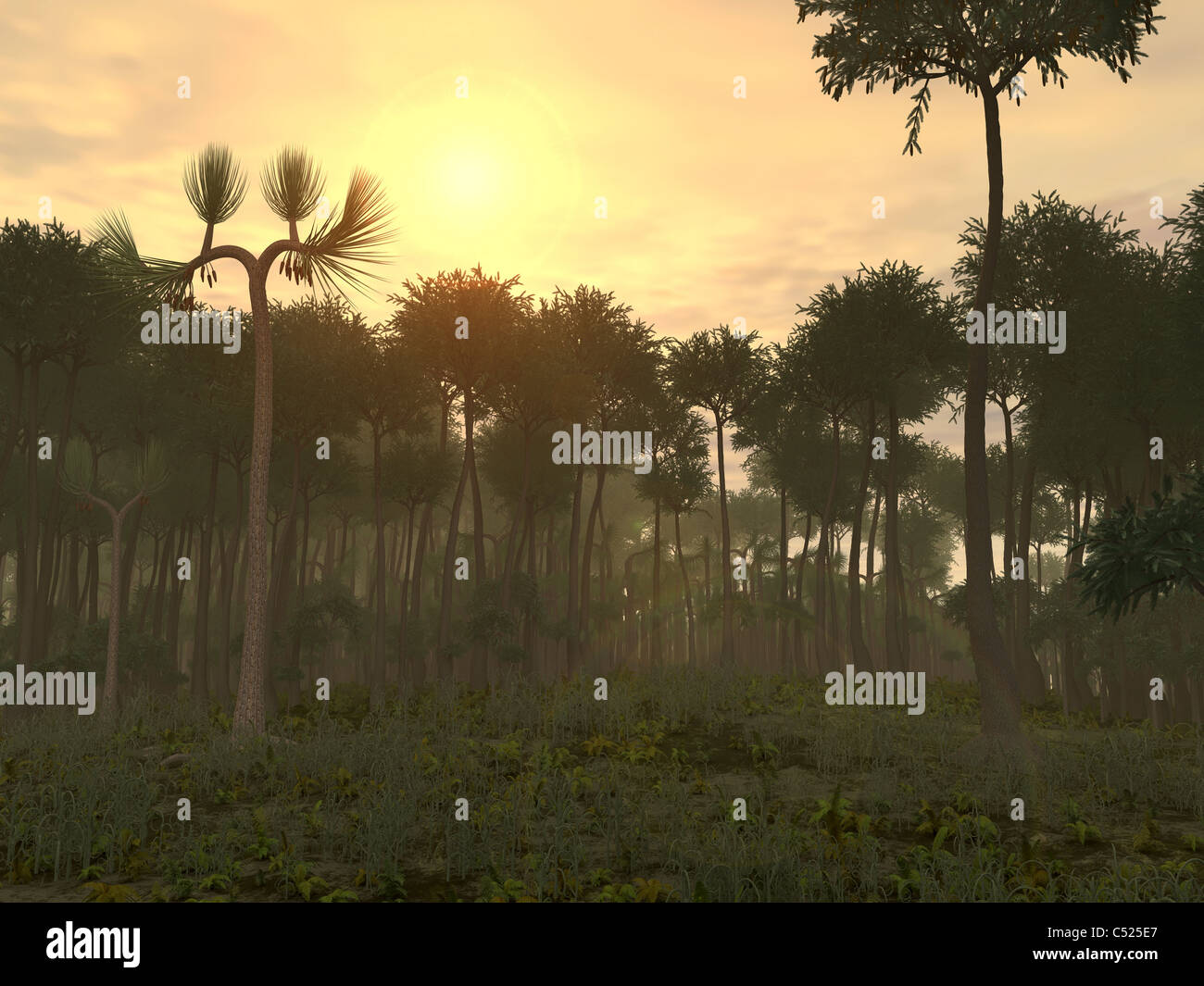 Une forêt carbonifère du centre-ouest de l'Amérique du Nord de 350 millions d'années. Banque D'Images