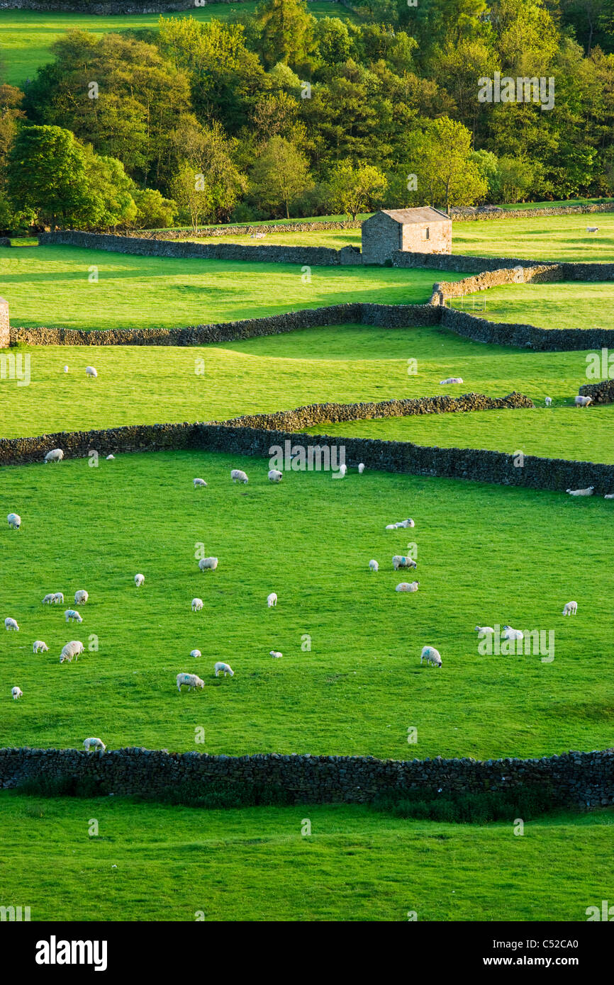 Gunnerside, Swaledale, Yorkshire Dales National Park, Royaume-Uni Banque D'Images