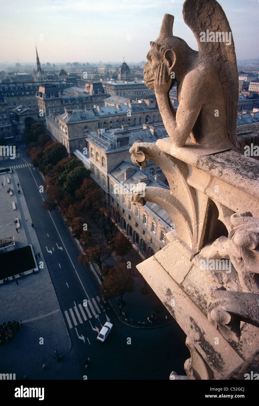 Gargouille à la Cathédrale Notre Dame de Paris. Banque D'Images