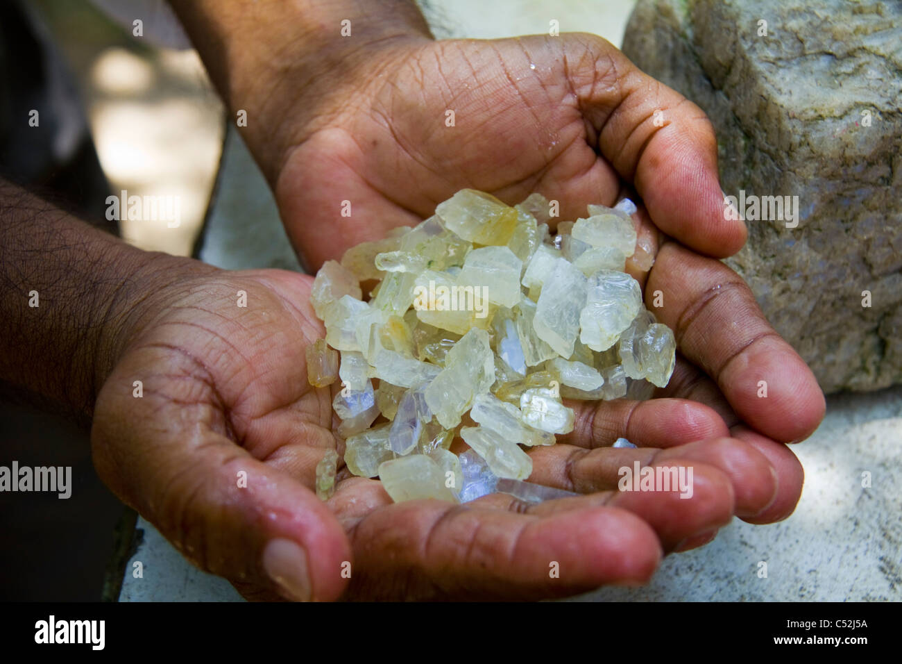 Worker's hands holding moonstones dans Beruwalage mine moonstone, Sri Lanka (Ceylan) Banque D'Images