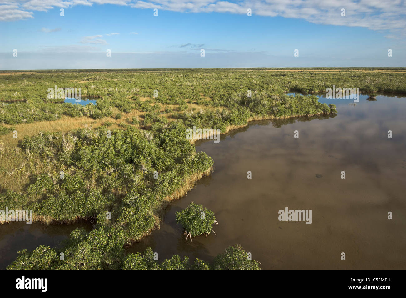 Le Parc National des Everglades PEV Banque D'Images
