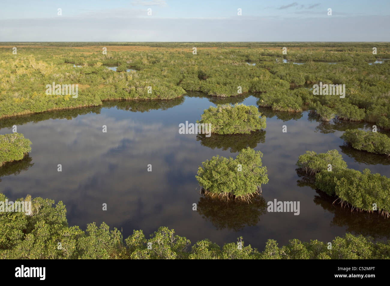 Le Parc National des Everglades PEV Banque D'Images