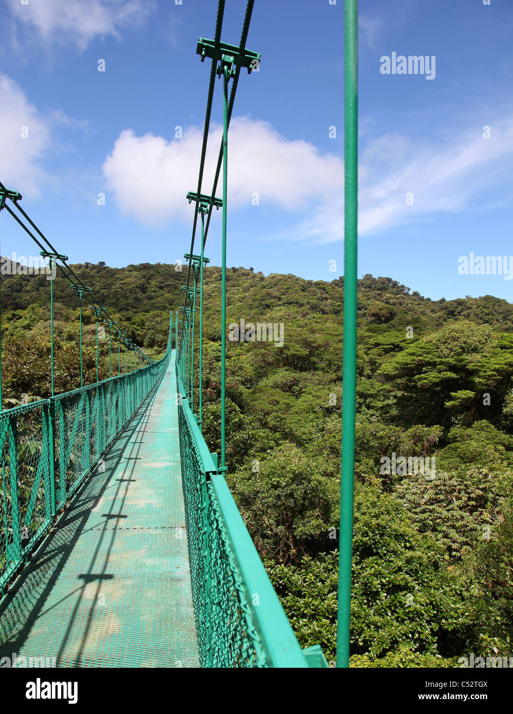 Un des ponts suspendus au-dessus de la canopée des arbres de la forêt nuageuse de Monteverde Cloud Forest, Costa Rica, Amérique centrale Banque D'Images