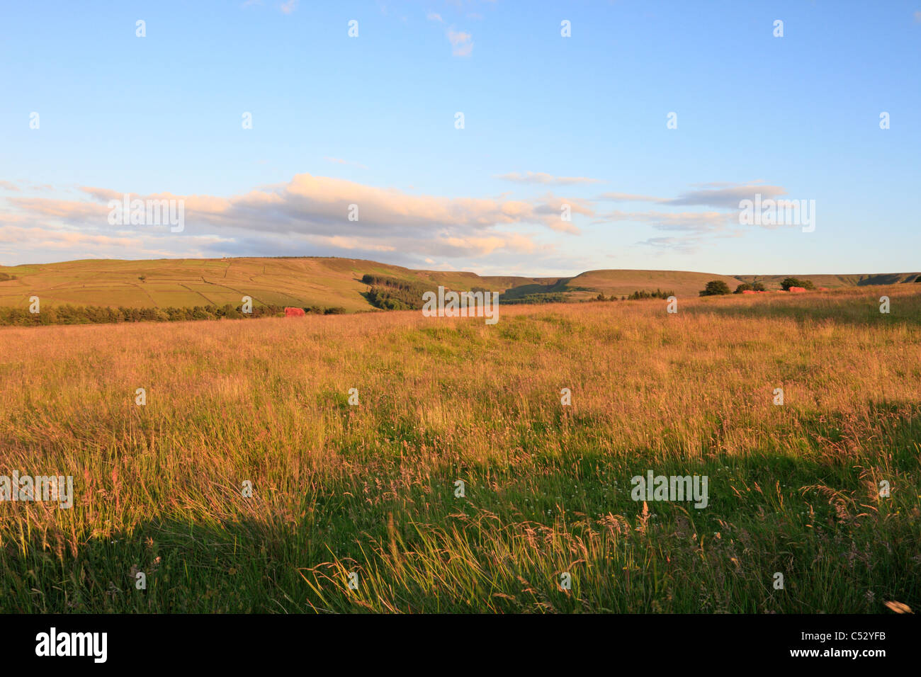 Vers Ramsden Clough en début de soirée près de Holmfirth, West Yorkshire, Peak District National Park, Angleterre, Royaume-Uni. Banque D'Images