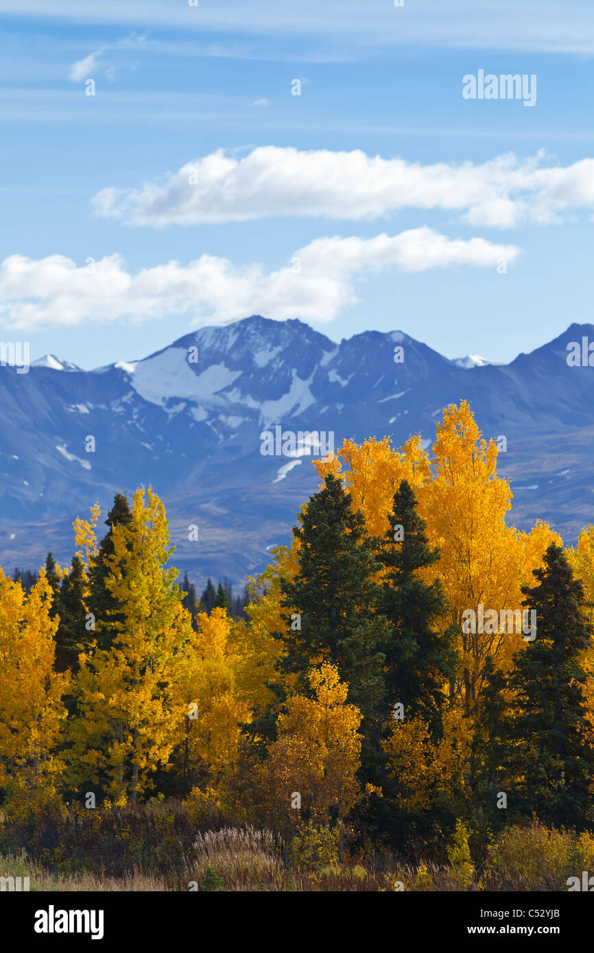 Vue panoramique des montagnes et de saules et de trembles colorés le long de la route de l'Alaska, Territoire du Yukon, Canada Banque D'Images