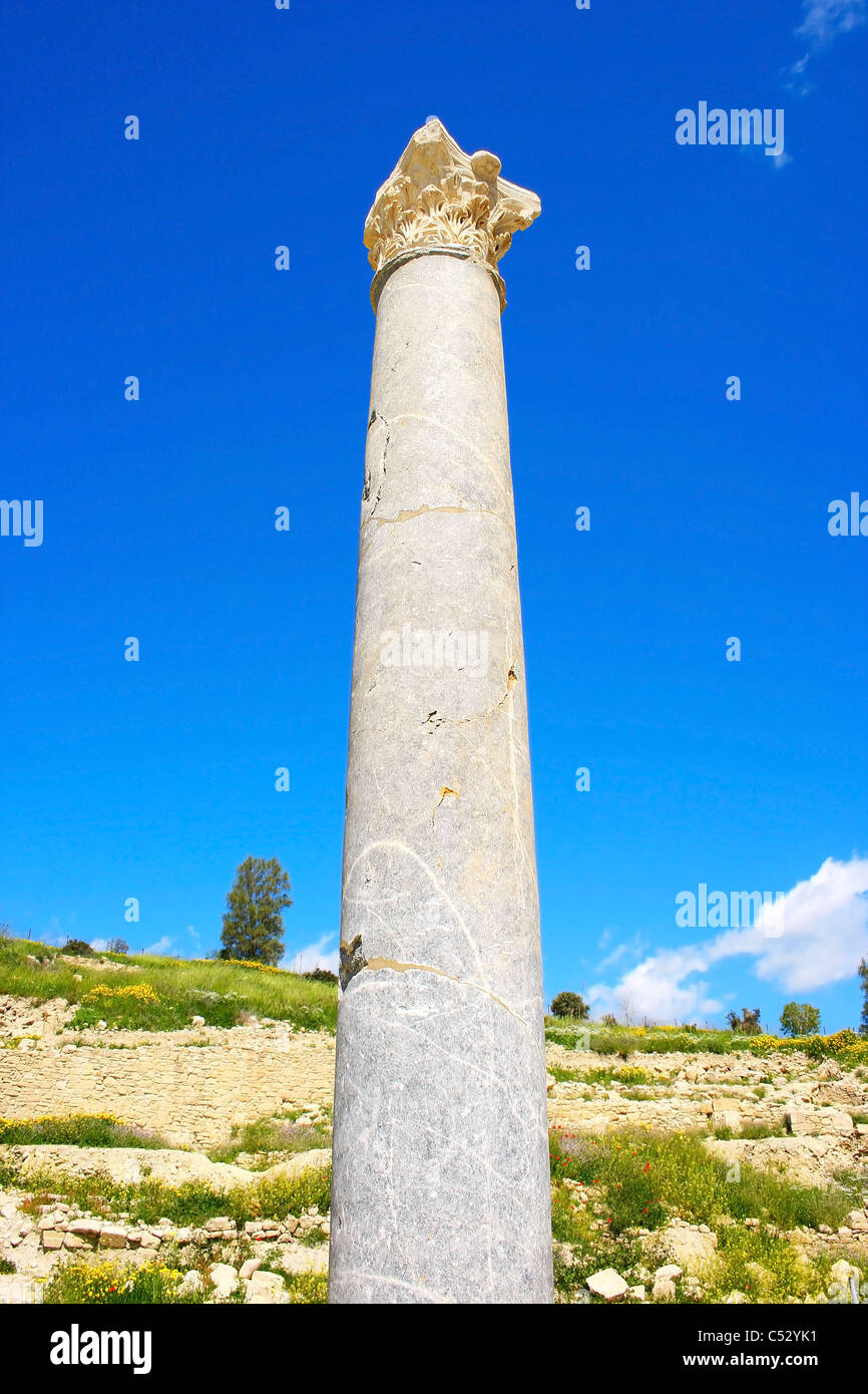 Ruines d’Amathus Banque D'Images