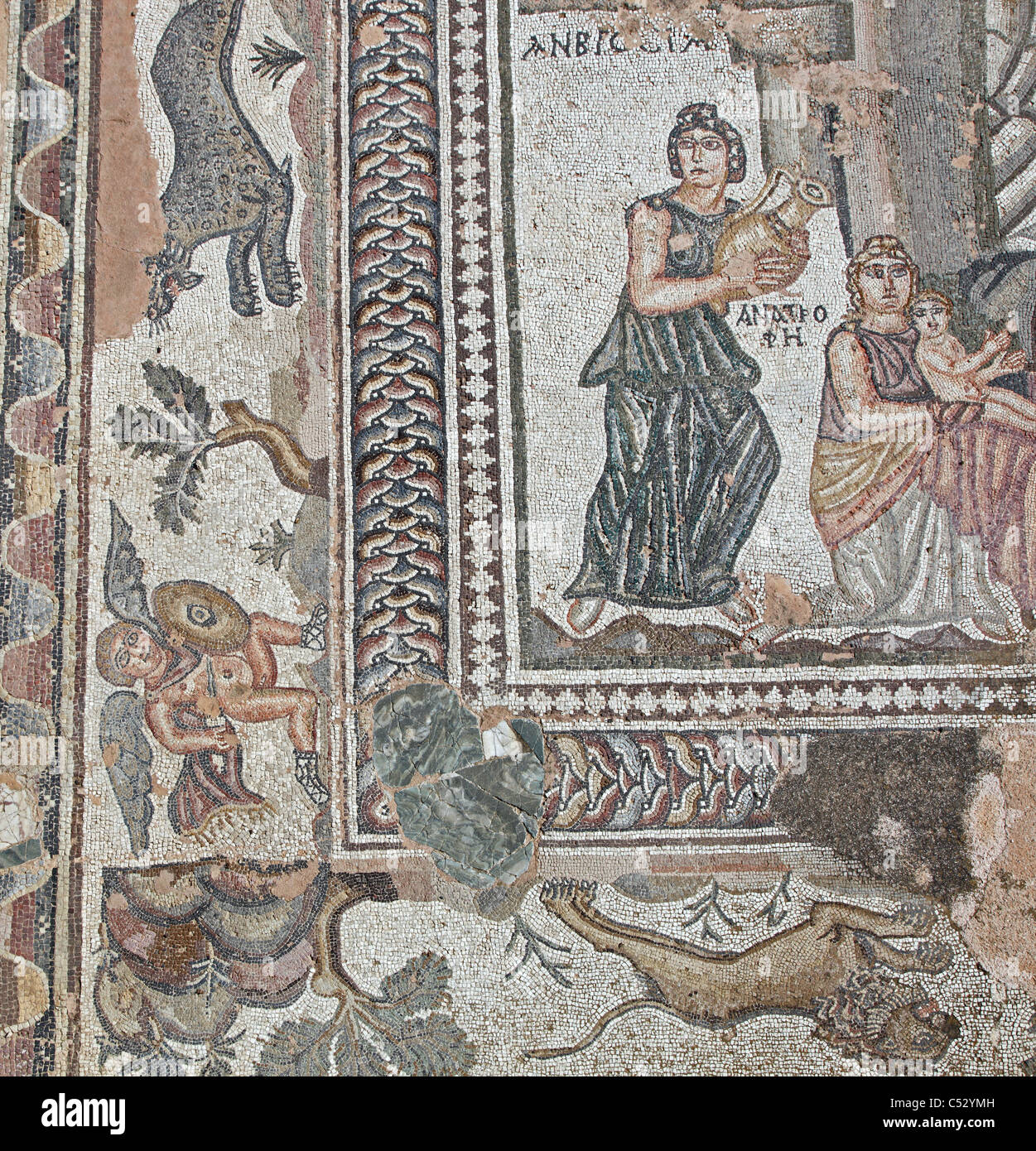 Sol en mosaïque romaine, Paphos, Chypre Banque D'Images