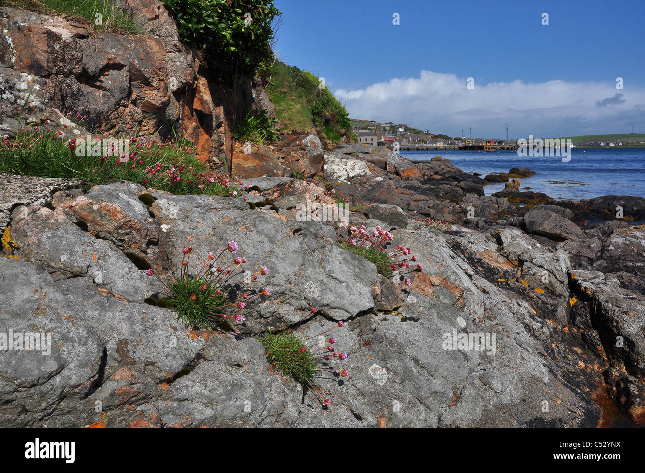 Des rochers près de Stromness, Orkney, partie continentale de la ville, de l'Écosse. Banque D'Images