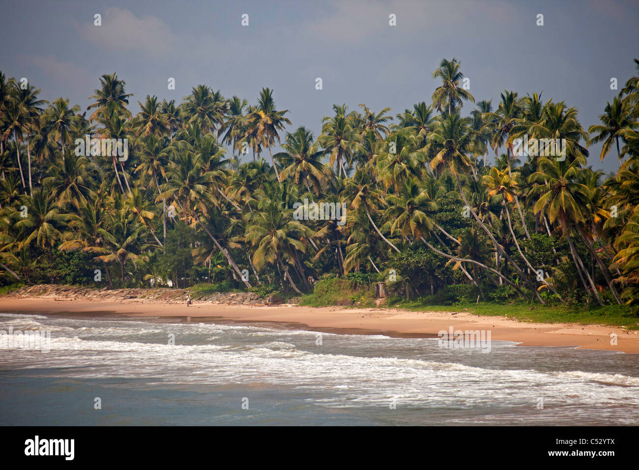 Homme seul marche à la plage vide à Matara, au Sri Lanka, en Asie Banque D'Images