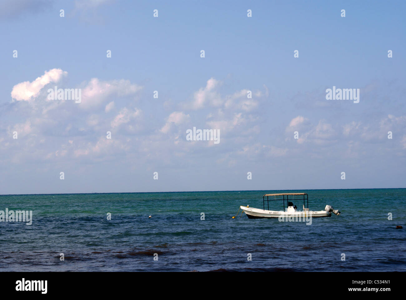 Blouse lancement sur le mer des Caraïbes, Riviera Maya, Quintana Roo, Mexique Banque D'Images