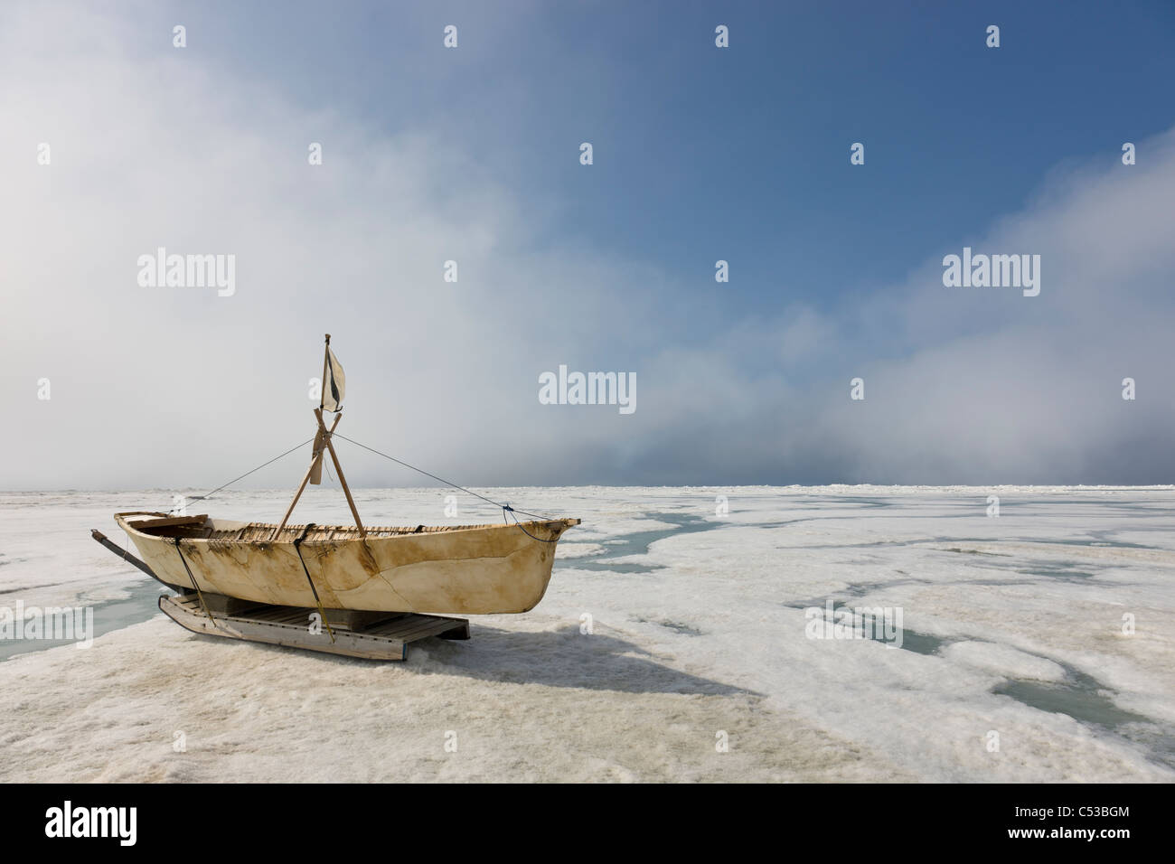 Esquimau inupiak Bateau de peau faite de peau de phoque barbu se reposant sur la glace de rive de la mer de Tchoukotka off shore de Barrow, Alaska Banque D'Images