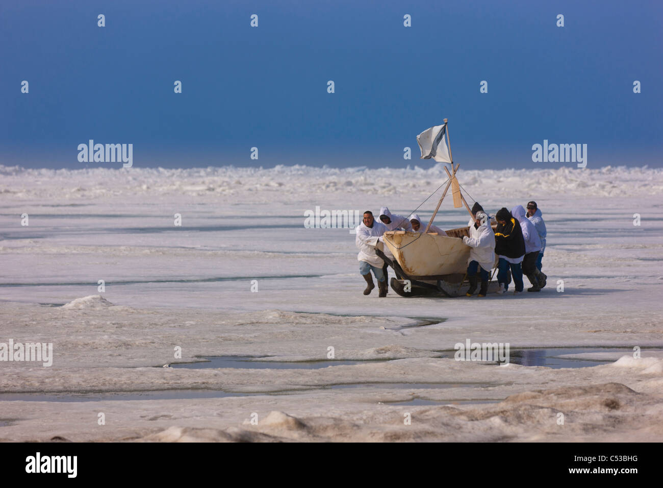 L'équipage de l'umiaq pousse leur chasse au large de la glace de mer Chuchki à la fin de la saison de chasse du printemps à Barrow, Alaska arctique, l'été Banque D'Images