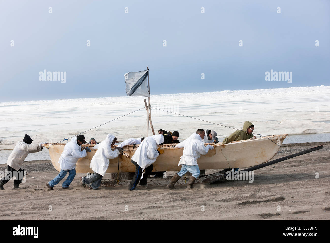 L'équipage de l'umiaq pousse leur chasse au large de la glace de mer Chuchki à la fin de la saison de chasse du printemps à Barrow, Alaska arctique, l'été Banque D'Images