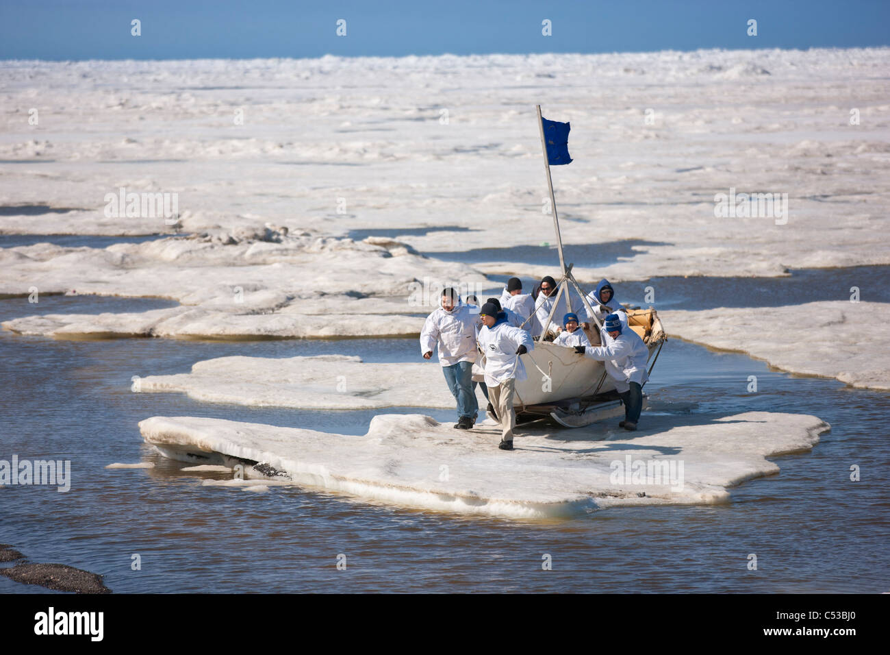 L'équipage de l'umiaq pousse leur chasse au large de la glace de mer Chuchki à la fin de la saison de chasse du printemps à Barrow, Alaska arctique, l'été Banque D'Images