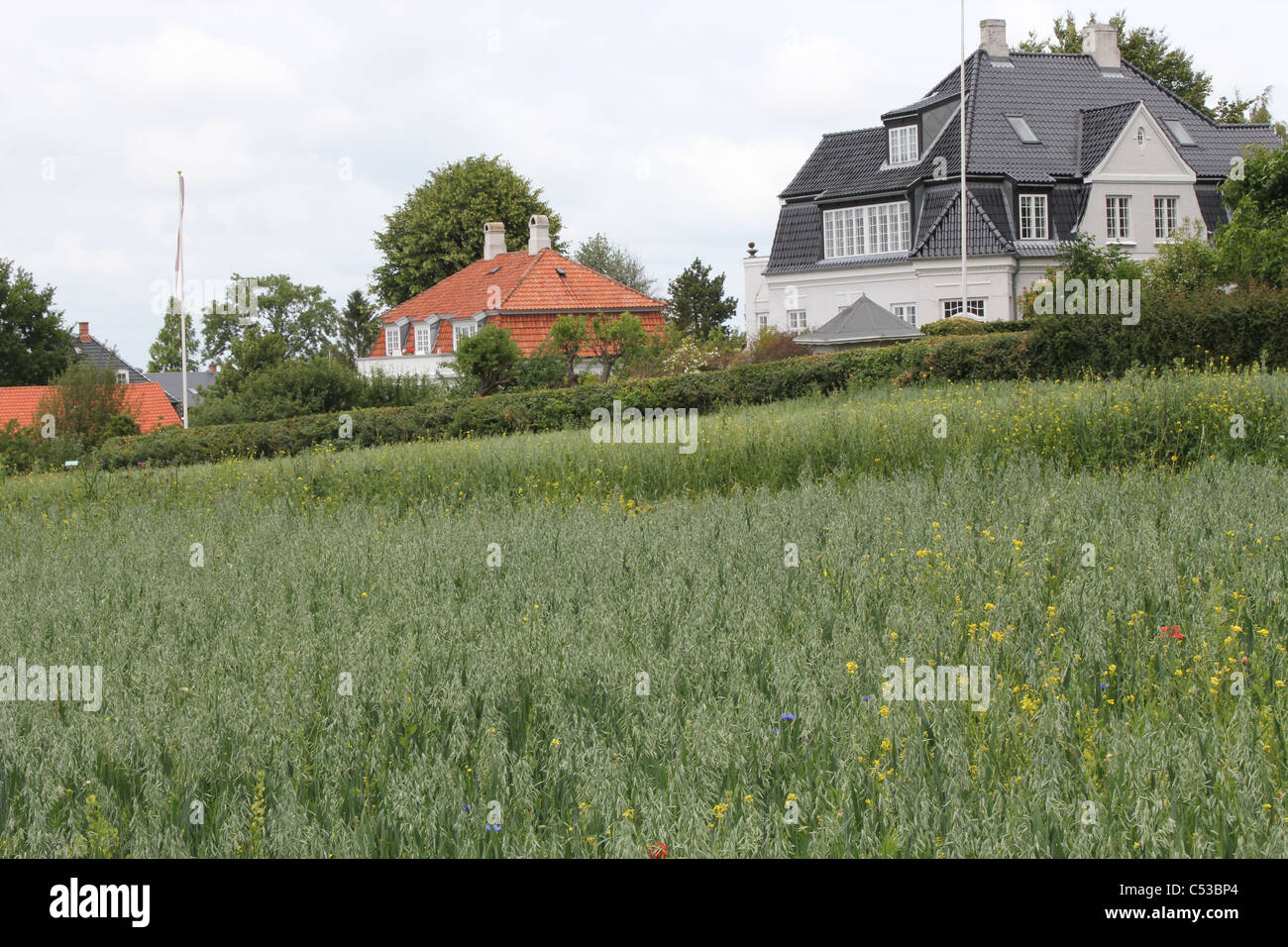 Maisons typiquement danois à Roskilde, Danemark Banque D'Images