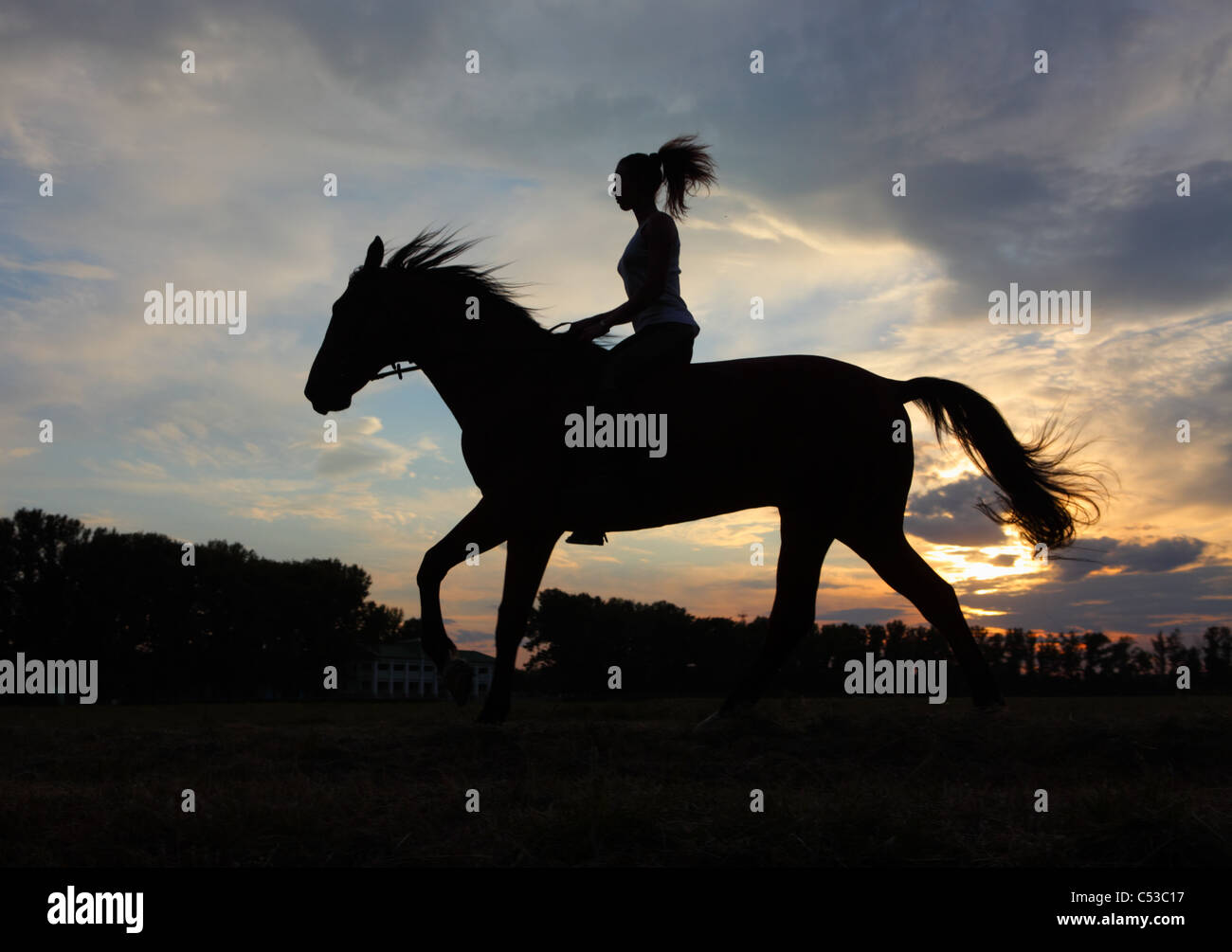 silhouette-d-une-jeune-fille-et-son-cheval-au-cr-puscule-photo-stock