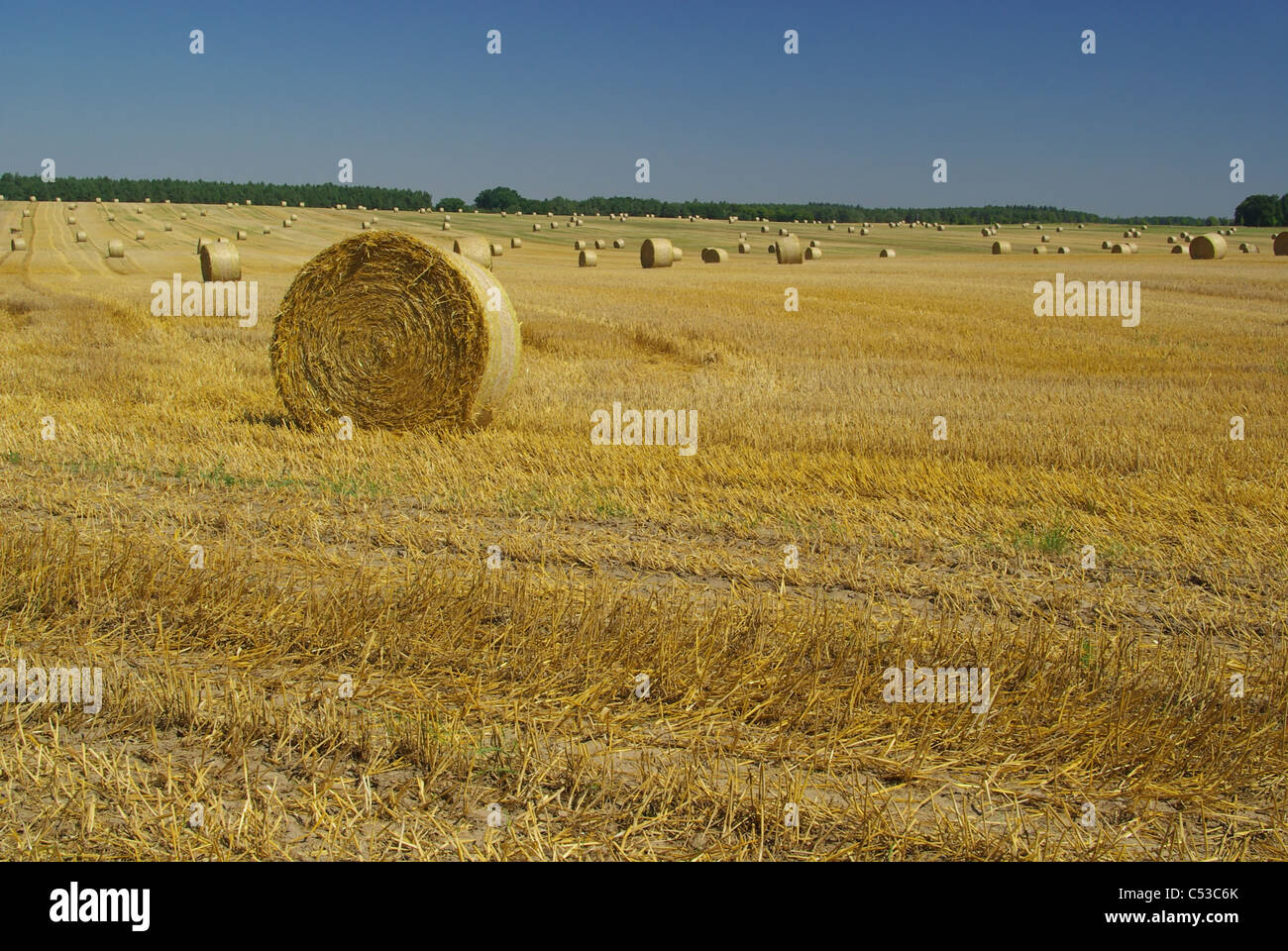 Strohballen - botte de paille 09 Banque D'Images